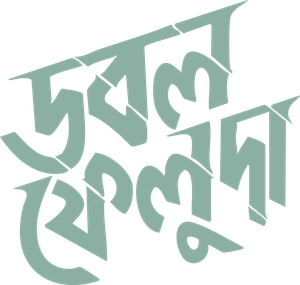 Double Feluda's poster