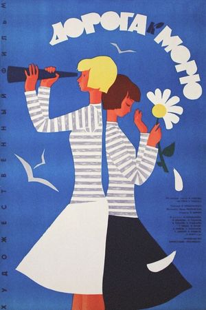 Doroga k moryu's poster