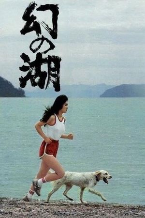 Lake of Illusions's poster