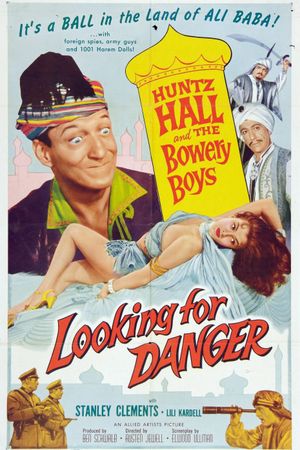 Looking for Danger's poster