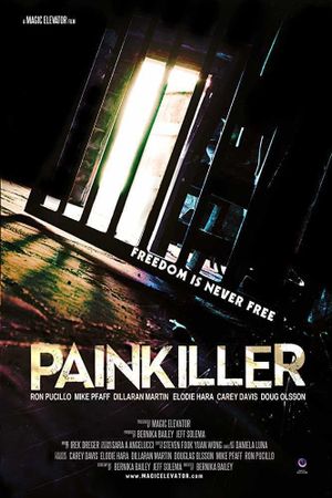 Painkiller's poster