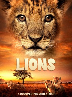 Lions's poster