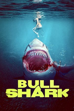 Bull Shark's poster