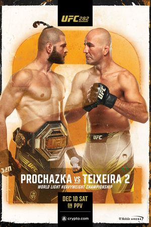 UFC 282: Blachowicz vs. Ankalaev's poster