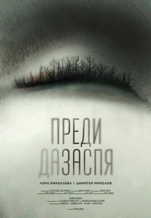 Before I Go to Sleep's poster