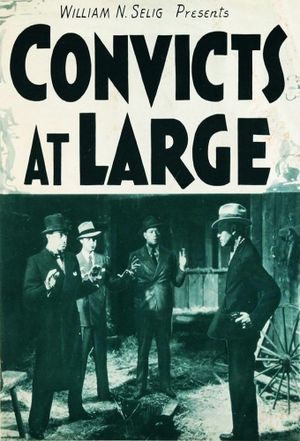 Convicts at Large's poster