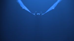 Batman Forever's poster
