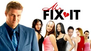 Mr. Fix It's poster