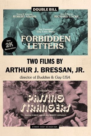 Arthur J. Bressan Jr.'s Early Super 8 Shorts's poster