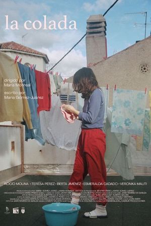 La colada's poster