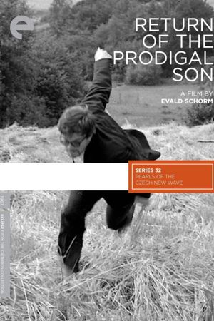 Return of the Prodigal Son's poster