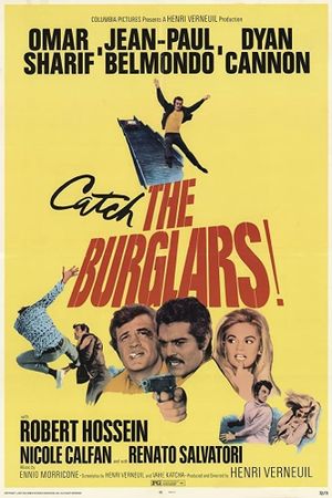 The Burglars's poster