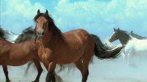 American Mustang's poster