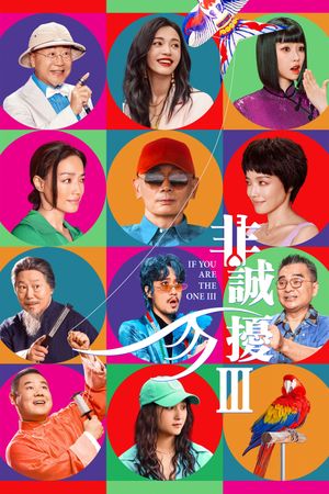 If You Are the One 3's poster