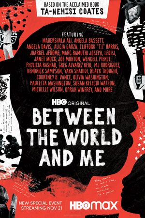 Between the World and Me's poster