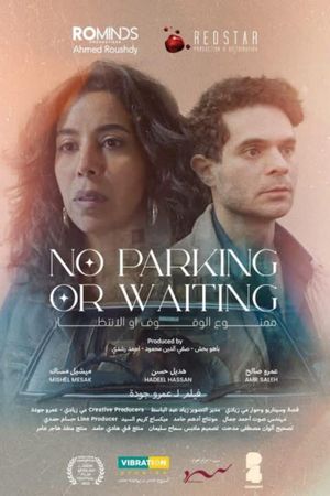 No Parking or Waiting's poster