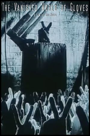 The Vanished World of Gloves's poster