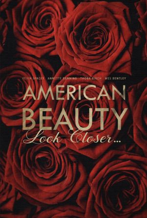 American Beauty: Look Closer...'s poster