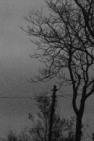 Notturno's poster
