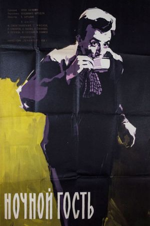 The Night Guest's poster