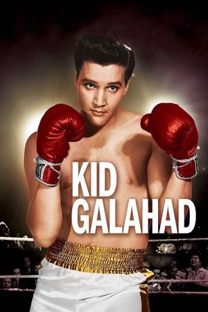 Kid Galahad's poster