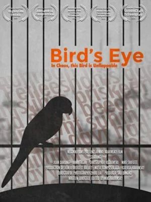 Bird's Eye's poster image