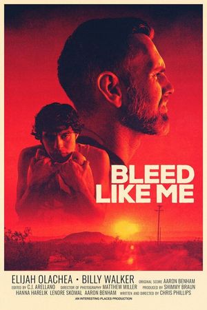 Bleed Like Me's poster