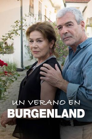 Ein Sommer im Burgenland's poster