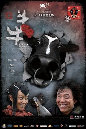 Cow's poster
