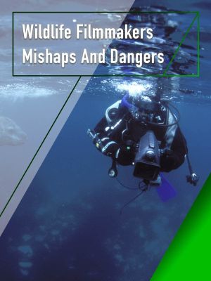 Wildlife Filmmakers: Mishaps and Dangers's poster