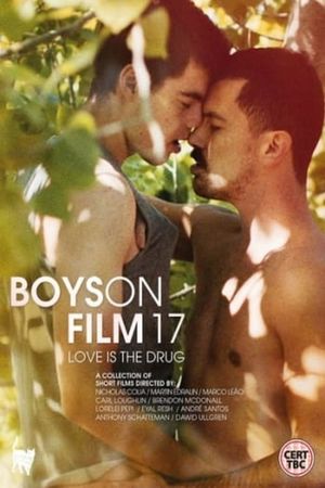 Boys on Film 17: Love Is the Drug's poster