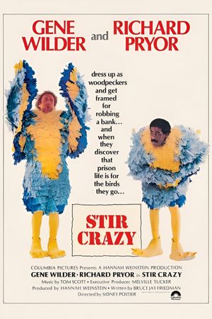 Stir Crazy's poster