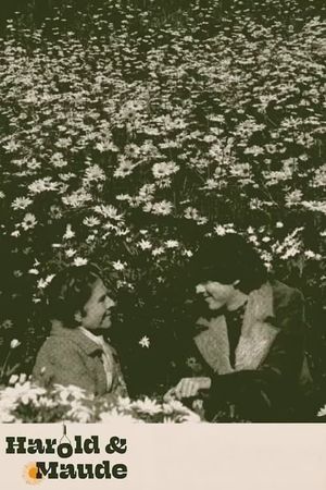 Harold and Maude's poster