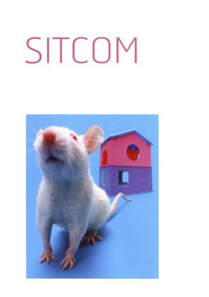 Sitcom's poster
