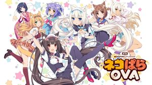 NEKOPARA OVA's poster