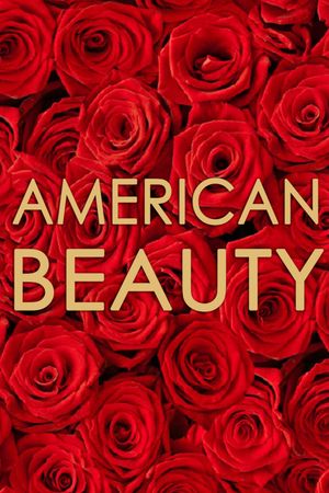 American Beauty's poster