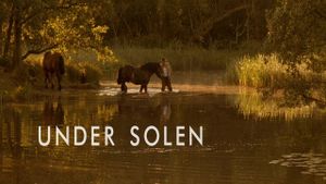 Under the Sun's poster