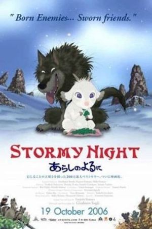 Stormy Night's poster