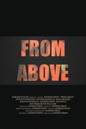 From Above's poster