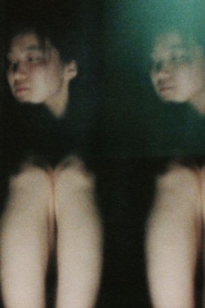 Collection's poster