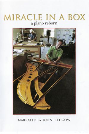 Miracle in a Box: A Piano Reborn's poster