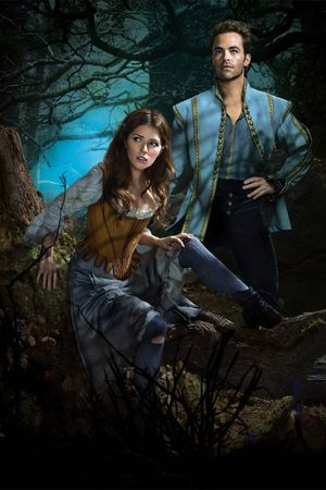 Into the Woods's poster