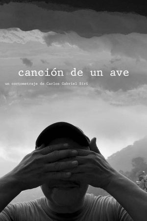 canción de un ave's poster image