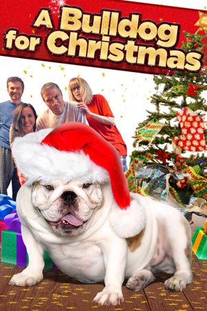 A Bulldog for Christmas's poster