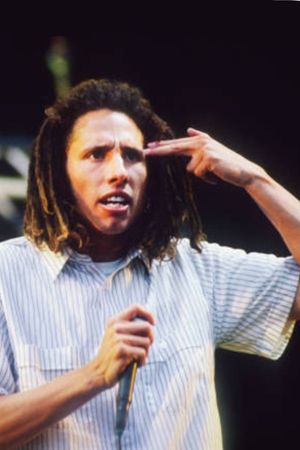 Rage Against The Machine - Live at Pinkpop Festival 1994's poster