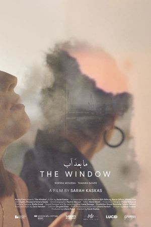 The Window's poster