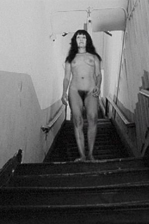 Nude Decending the Stairs's poster