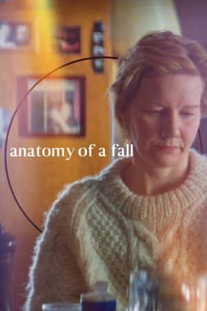 Anatomy of a Fall's poster