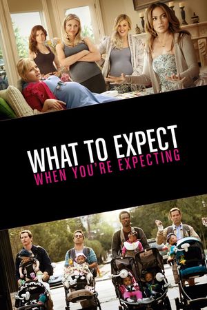 What to Expect When You're Expecting's poster