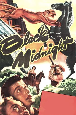 Black Midnight's poster